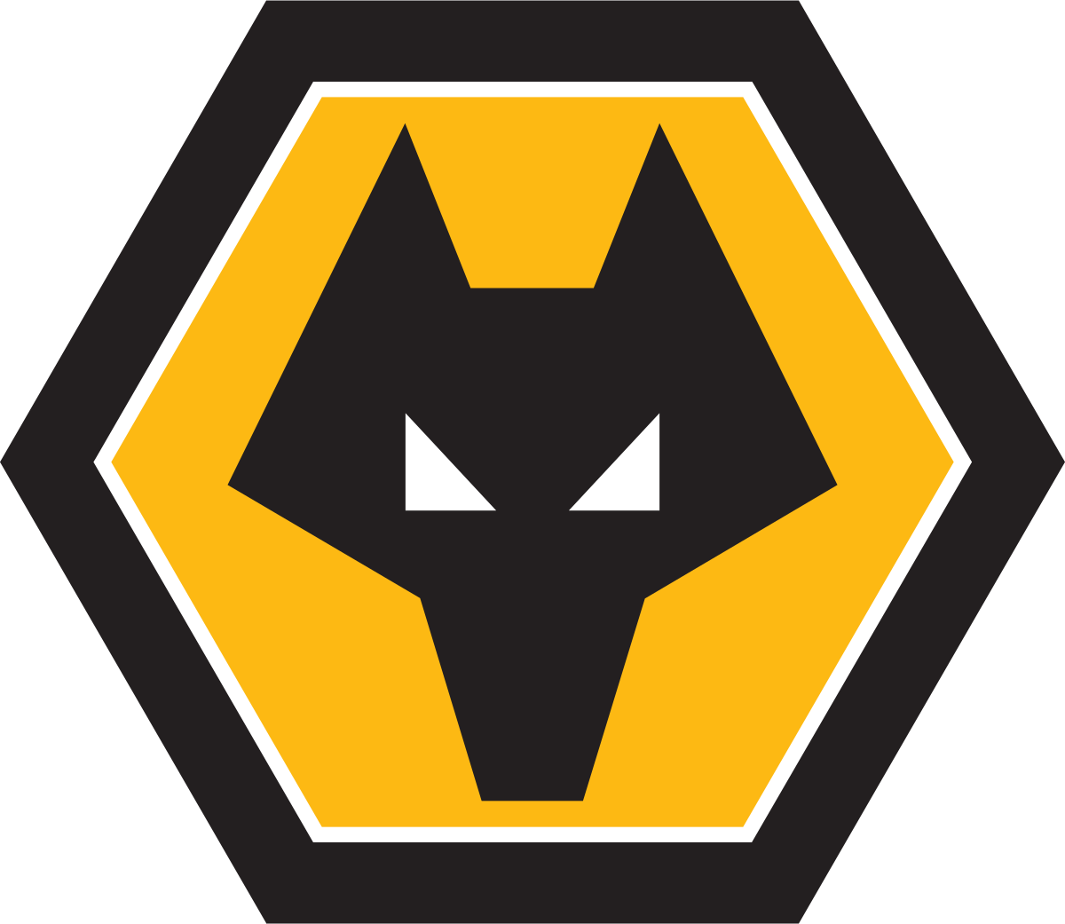 Why is Wolverhampton called “The Wolves”? The story behind a name