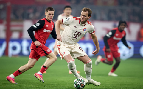 Mainz vs Bayern Tickets Price Range and Where to Buy Tips